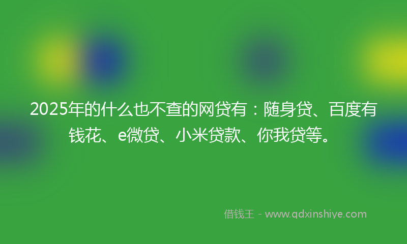 2025年的什么也不查的网贷有：随身贷、百度有钱花、e微贷、小米贷款、你我贷等。