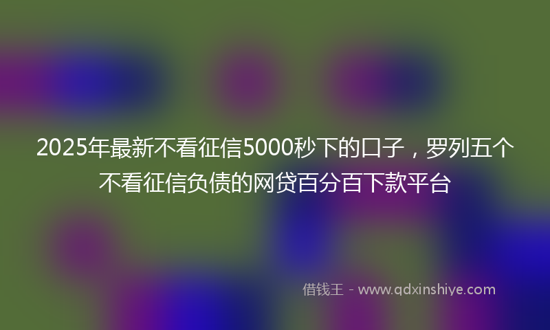 2025年最新不看征信5000秒下的口子，罗列五个不看征信负债的网贷百分百下款平台