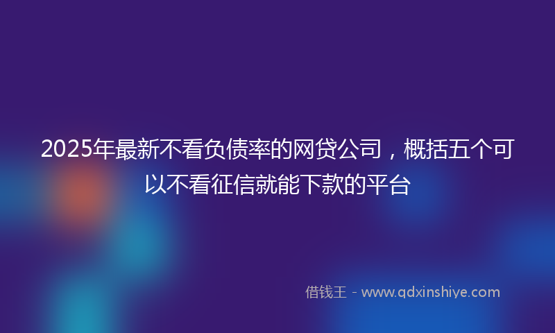2025年最新不看负债率的网贷公司，概括五个可以不看征信就能下款的平台