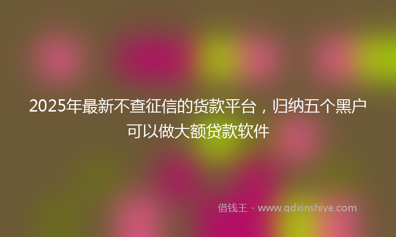 2025年最新不查征信的货款平台，归纳五个黑户可以做大额贷款软件