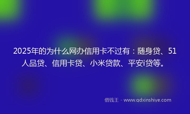 2025年的为什么网办信用卡不过有：随身贷、51人品贷、信用卡贷、小米贷款、平安i贷等。