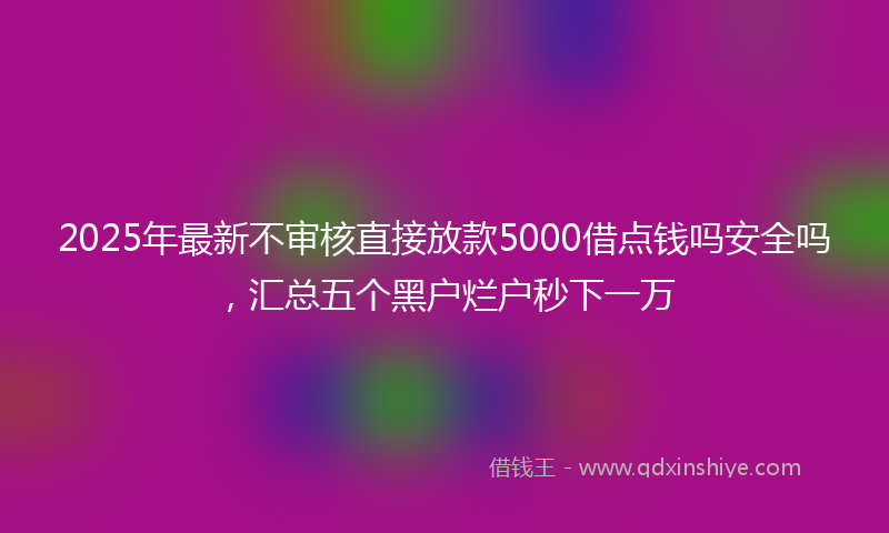 2025年最新不审核直接放款5000借点钱吗安全吗，汇总五个黑户烂户秒下一万
