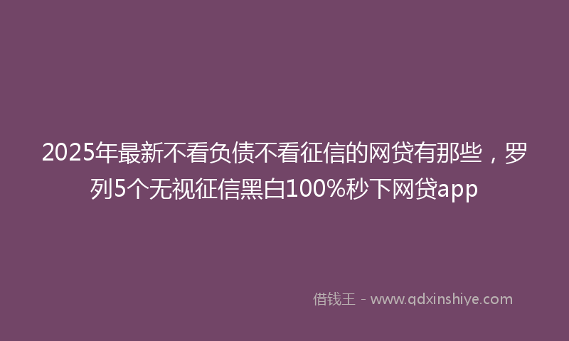 2025年最新不看负债不看征信的网贷有那些，罗列5个无视征信黑白100%秒下网贷app