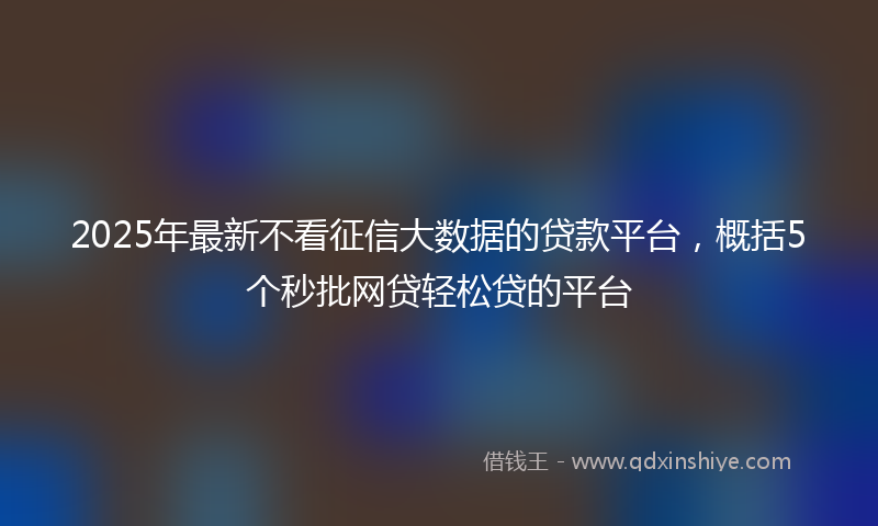 2025年最新不看征信大数据的贷款平台，概括5个秒批网贷轻松贷的平台