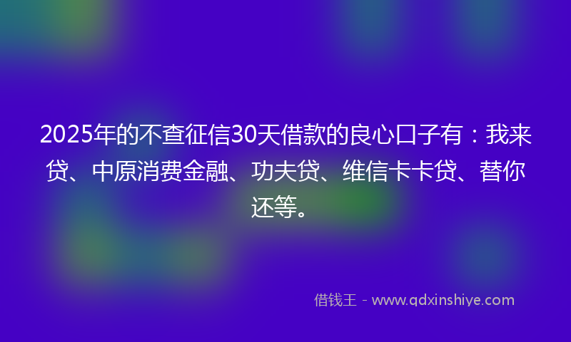 2025年的不查征信30天借款的良心口子有：我来贷、中原消费金融、功夫贷、维信卡卡贷、替你还等。