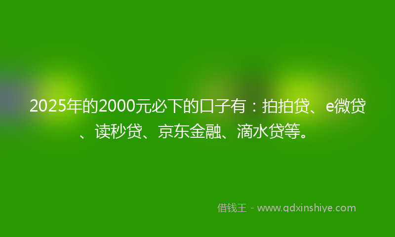 2025年的2000元必下的口子有：拍拍贷、e微贷、读秒贷、京东金融、滴水贷等。