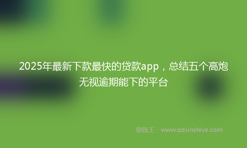 2025年最新下款最快的贷款app，总结五个高炮无视逾期能下的平台