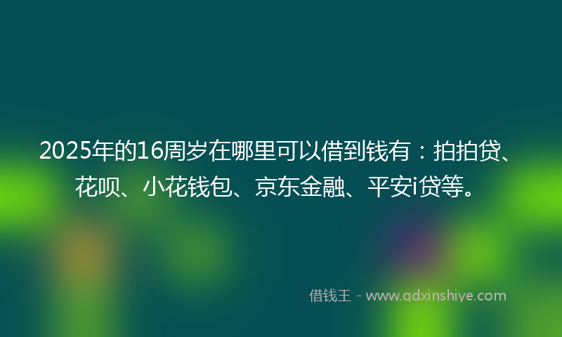 2025年的16周岁在哪里可以借到钱有：拍拍贷、花呗、小花钱包、京东金融、平安i贷等。