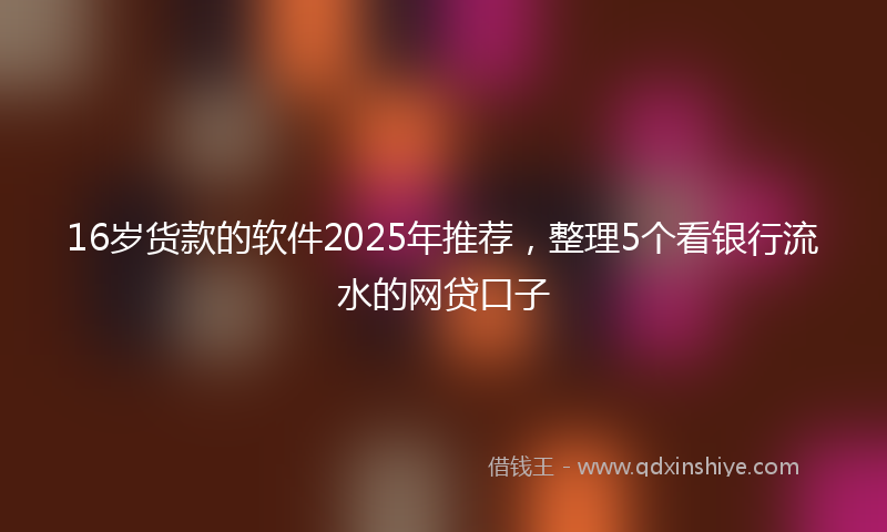 16岁货款的软件2025年推荐，整理5个看银行流水的网贷口子