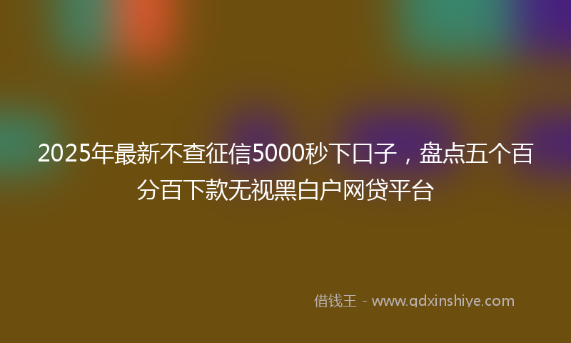 2025年最新不查征信5000秒下口子，盘点五个百分百下款无视黑白户网贷平台
