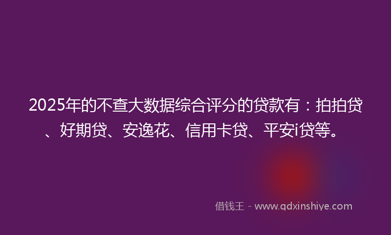 2025年的不查大数据综合评分的贷款有：拍拍贷、好期贷、安逸花、信用卡贷、平安i贷等。