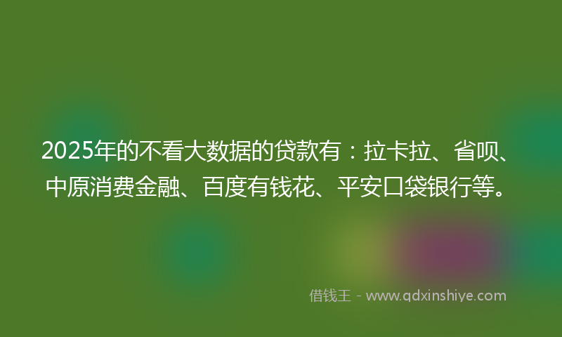 2025年的不看大数据的贷款有：拉卡拉、省呗、中原消费金融、百度有钱花、平安口袋银行等。