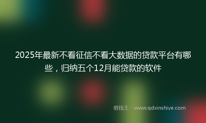 2025年最新不看征信不看大数据的贷款平台有哪些，归纳五个12月能贷款的软件