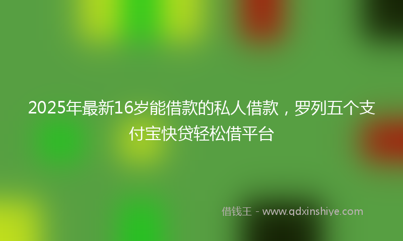 2025年最新16岁能借款的私人借款，罗列五个支付宝快贷轻松借平台