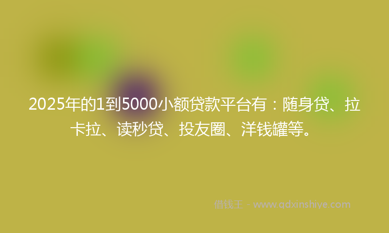 2025年的1到5000小额贷款平台有：随身贷、拉卡拉、读秒贷、投友圈、洋钱罐等。
