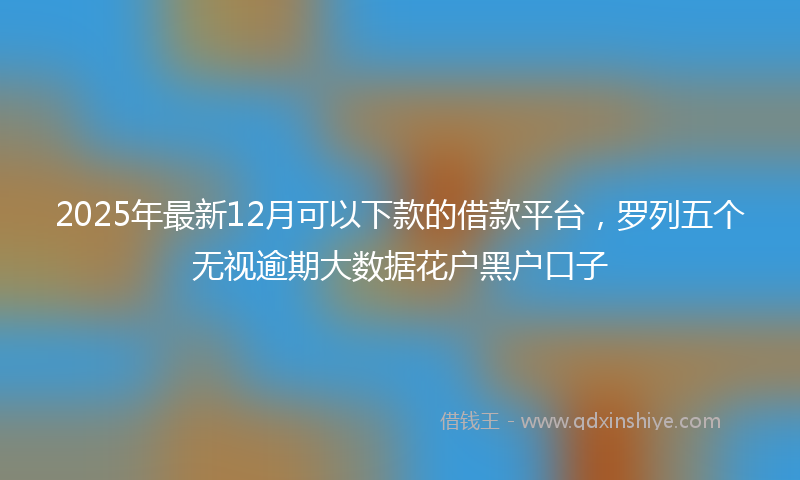 2025年最新12月可以下款的借款平台，罗列五个无视逾期大数据花户黑户口子