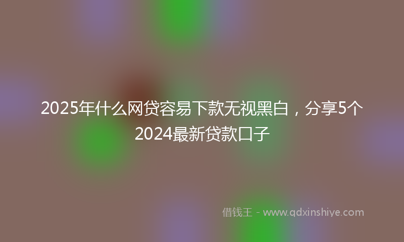 2025年什么网贷容易下款无视黑白，分享5个2024最新贷款口子
