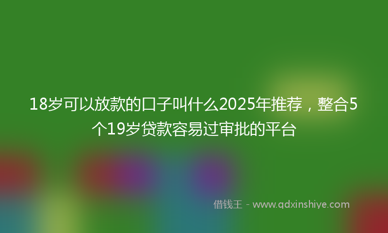 18岁可以放款的口子叫什么2025年推荐，整合5个19岁贷款容易过审批的平台