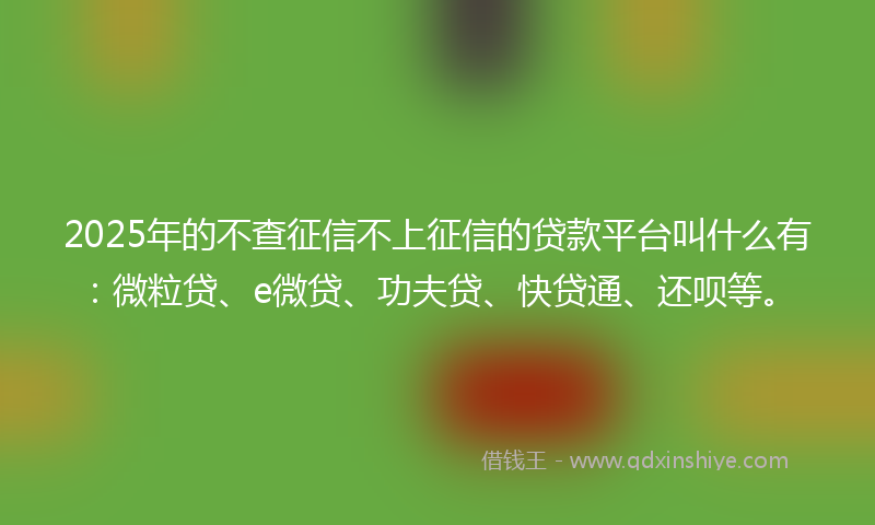 2025年的不查征信不上征信的贷款平台叫什么有：微粒贷、e微贷、功夫贷、快贷通、还呗等。