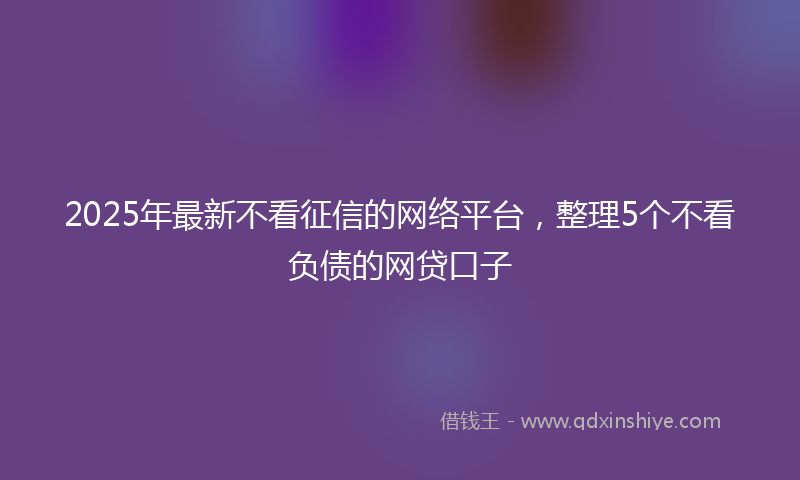 2025年最新不看征信的网络平台，整理5个不看负债的网贷口子