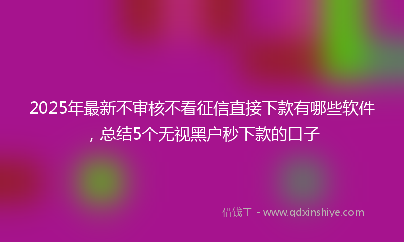 2025年最新不审核不看征信直接下款有哪些软件，总结5个无视黑户秒下款的口子