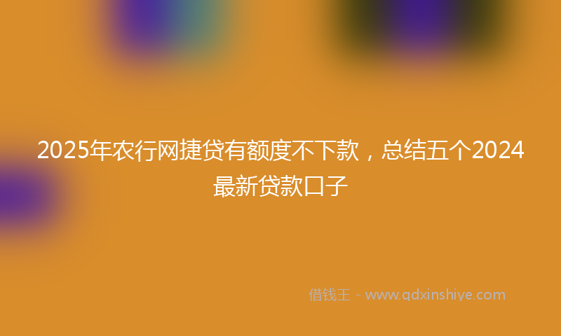 2025年农行网捷贷有额度不下款，总结五个2024最新贷款口子