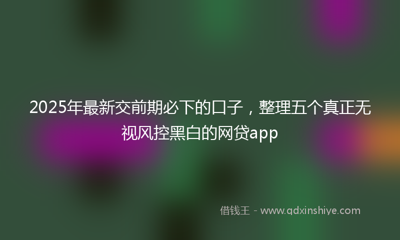 2025年最新交前期必下的口子，整理五个真正无视风控黑白的网贷app