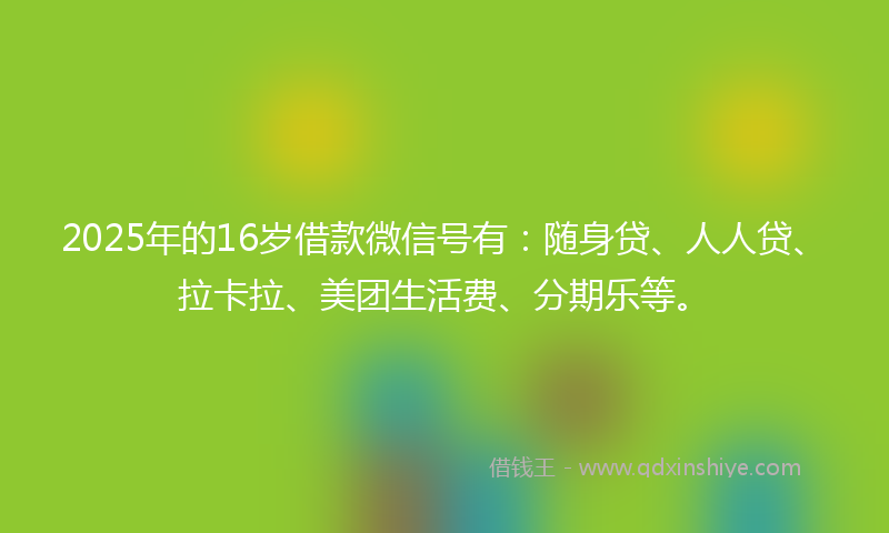2025年的16岁借款微信号有：随身贷、人人贷、拉卡拉、美团生活费、分期乐等。