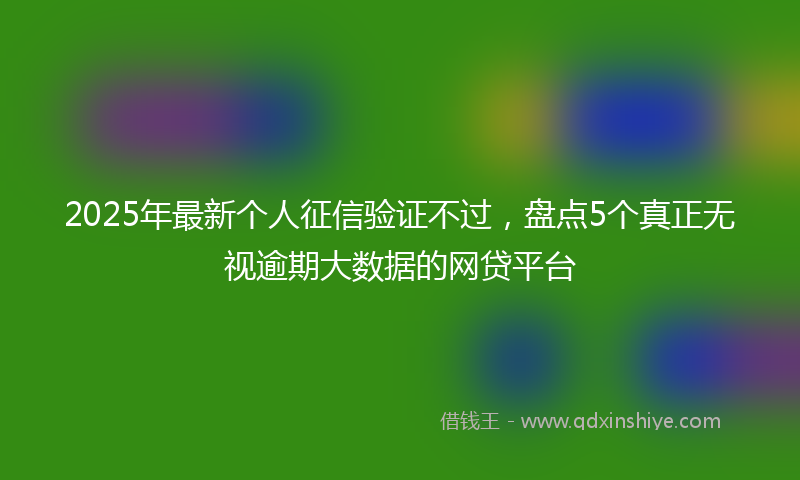 2025年最新个人征信验证不过，盘点5个真正无视逾期大数据的网贷平台