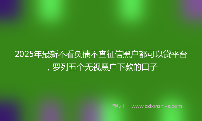 2025年最新不看负债不查征信黑户都可以贷平台，罗列五个无视黑户下款的口子