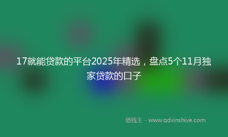 17就能贷款的平台2025年精选，盘点5个11月独家贷款的口子