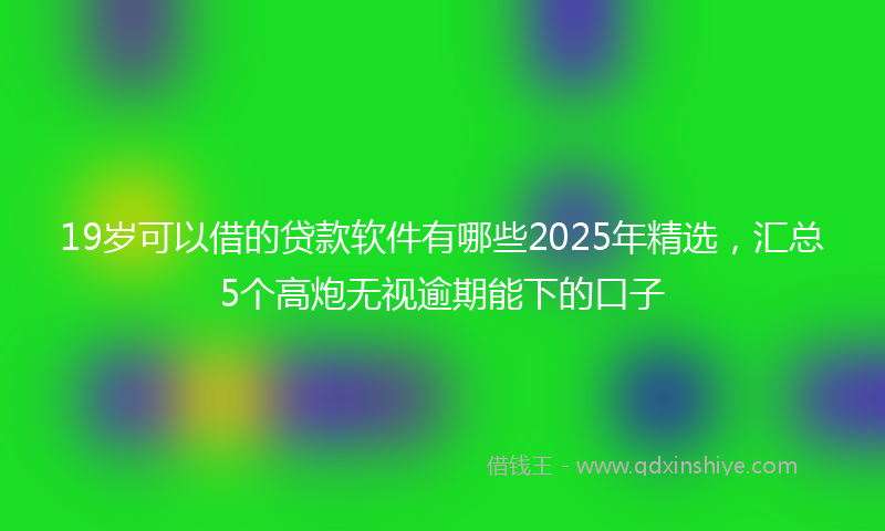 19岁可以借的贷款软件有哪些2025年精选，汇总5个高炮无视逾期能下的口子