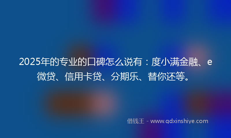 2025年的专业的口碑怎么说有：度小满金融、e微贷、信用卡贷、分期乐、替你还等。