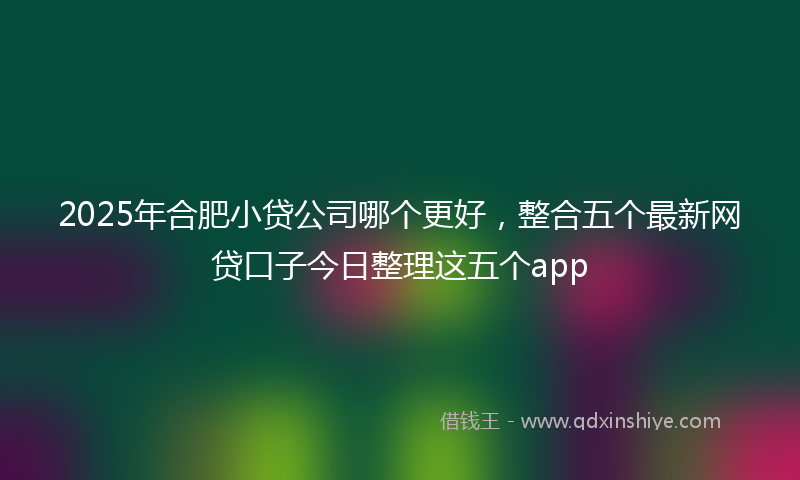 2025年合肥小贷公司哪个更好，整合五个最新网贷口子今日整理这五个app