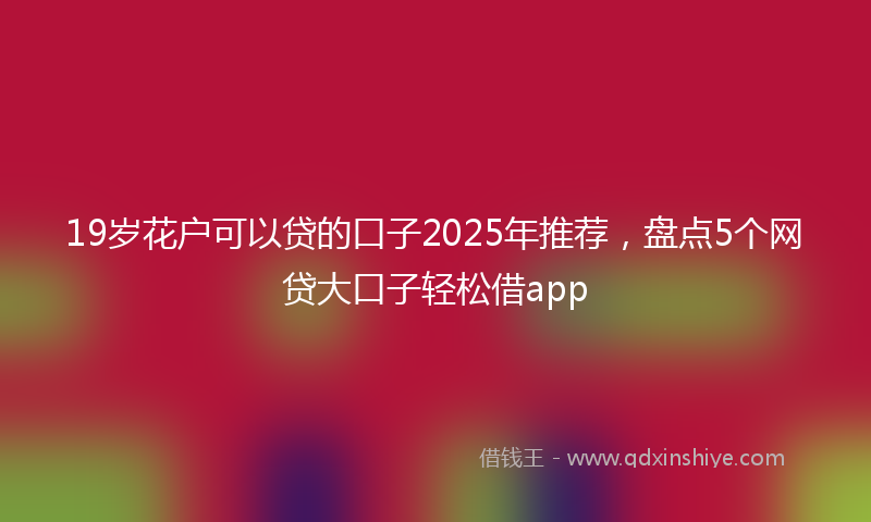 19岁花户可以贷的口子2025年推荐，盘点5个网贷大口子轻松借app