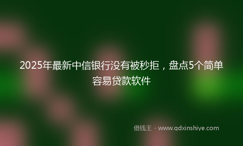 2025年最新中信银行没有被秒拒，盘点5个简单容易贷款软件
