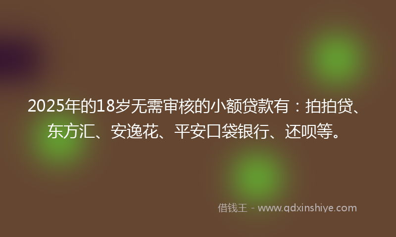 2025年的18岁无需审核的小额贷款有：拍拍贷、东方汇、安逸花、平安口袋银行、还呗等。