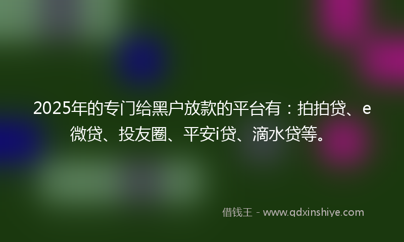 2025年的专门给黑户放款的平台有：拍拍贷、e微贷、投友圈、平安i贷、滴水贷等。