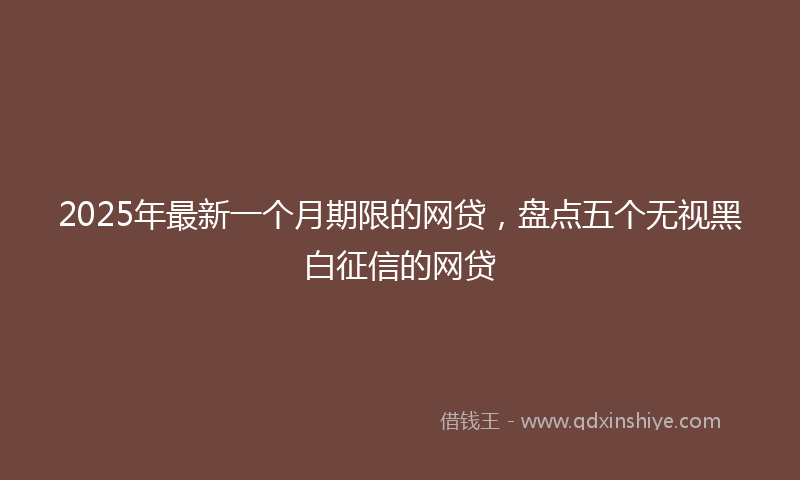 2025年最新一个月期限的网贷，盘点五个无视黑白征信的网贷