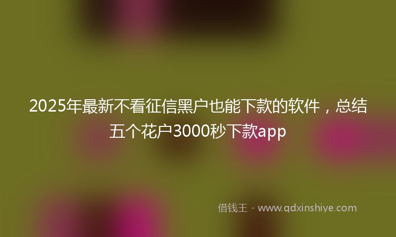 2025年最新不看征信黑户也能下款的软件，总结五个花户3000秒下款app
