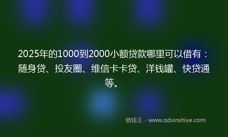 2025年的1000到2000小额贷款哪里可以借有：随身贷、投友圈、维信卡卡贷、洋钱罐、快贷通等。