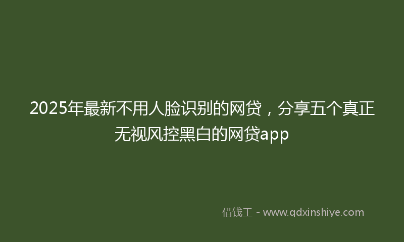 2025年最新不用人脸识别的网贷，分享五个真正无视风控黑白的网贷app