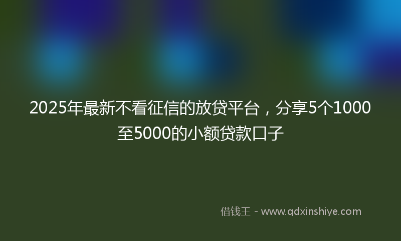 2025年最新不看征信的放贷平台，分享5个1000至5000的小额贷款口子