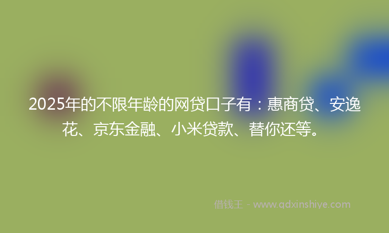 2025年的不限年龄的网贷口子有：惠商贷、安逸花、京东金融、小米贷款、替你还等。