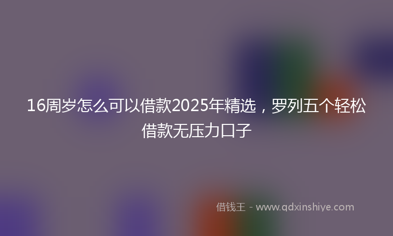 16周岁怎么可以借款2025年精选，罗列五个轻松借款无压力口子