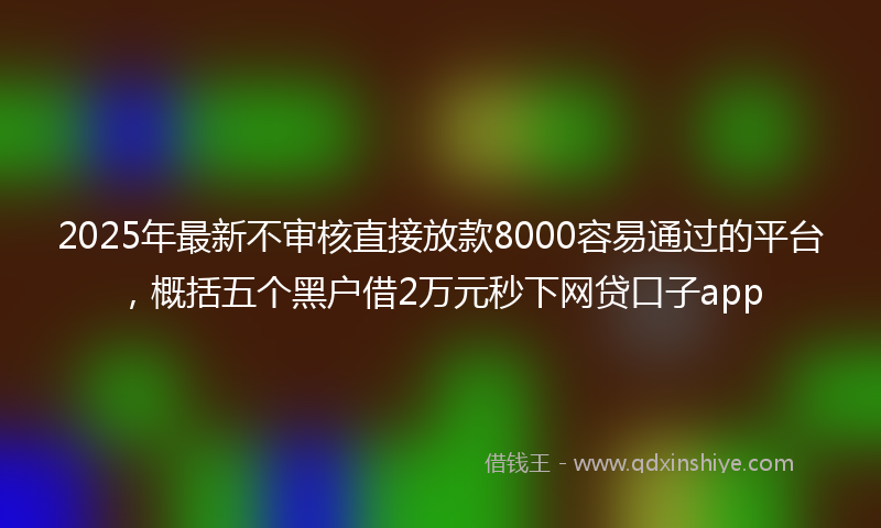 2025年最新不审核直接放款8000容易通过的平台，概括五个黑户借2万元秒下网贷口子app