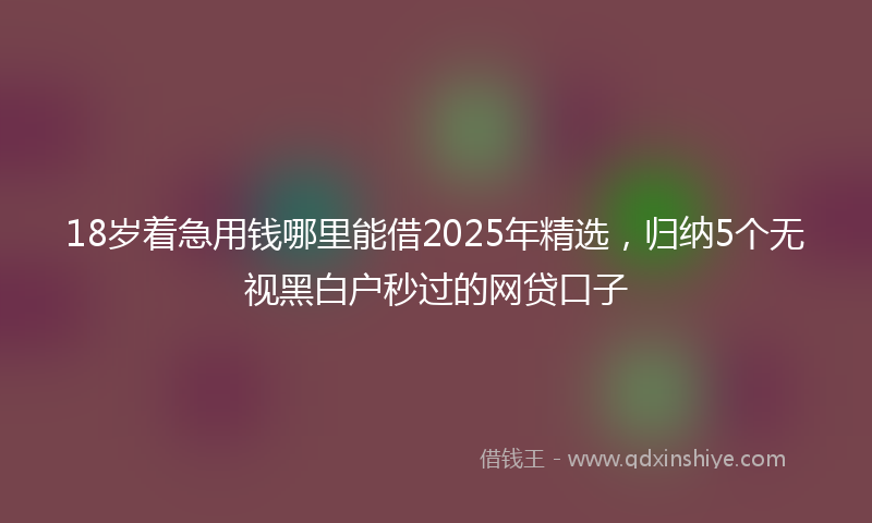 18岁着急用钱哪里能借2025年精选，归纳5个无视黑白户秒过的网贷口子