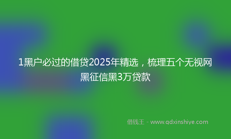 1黑户必过的借贷2025年精选，梳理五个无视网黑征信黑3万贷款