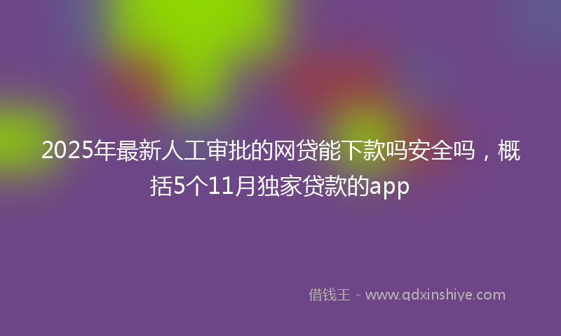 2025年最新人工审批的网贷能下款吗安全吗，概括5个11月独家贷款的app