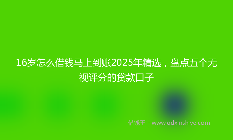 16岁怎么借钱马上到账2025年精选，盘点五个无视评分的贷款口子